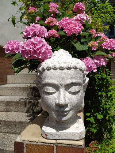 Art apartment with roof terrace and flair, quiet, close to Frankfurt - Gallery - 17