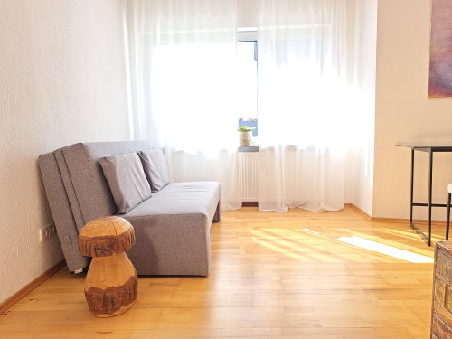 Art apartment with roof terrace and flair, quiet, close to Frankfurt