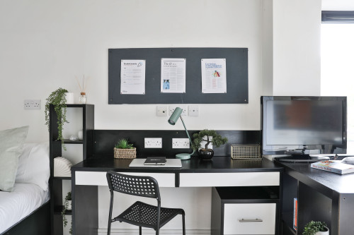 Maple House  - Gallery -  4