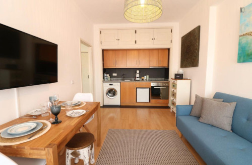 Charming 1-bedroom apartment near University