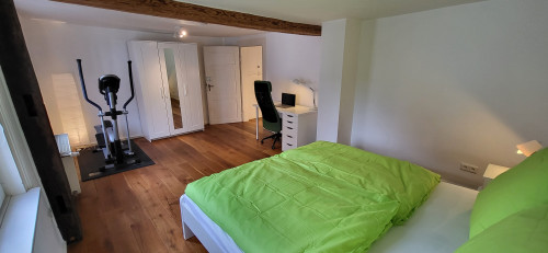 Former farmhouse with much privacy (3 floors / 8 persons) - Gallery - 19