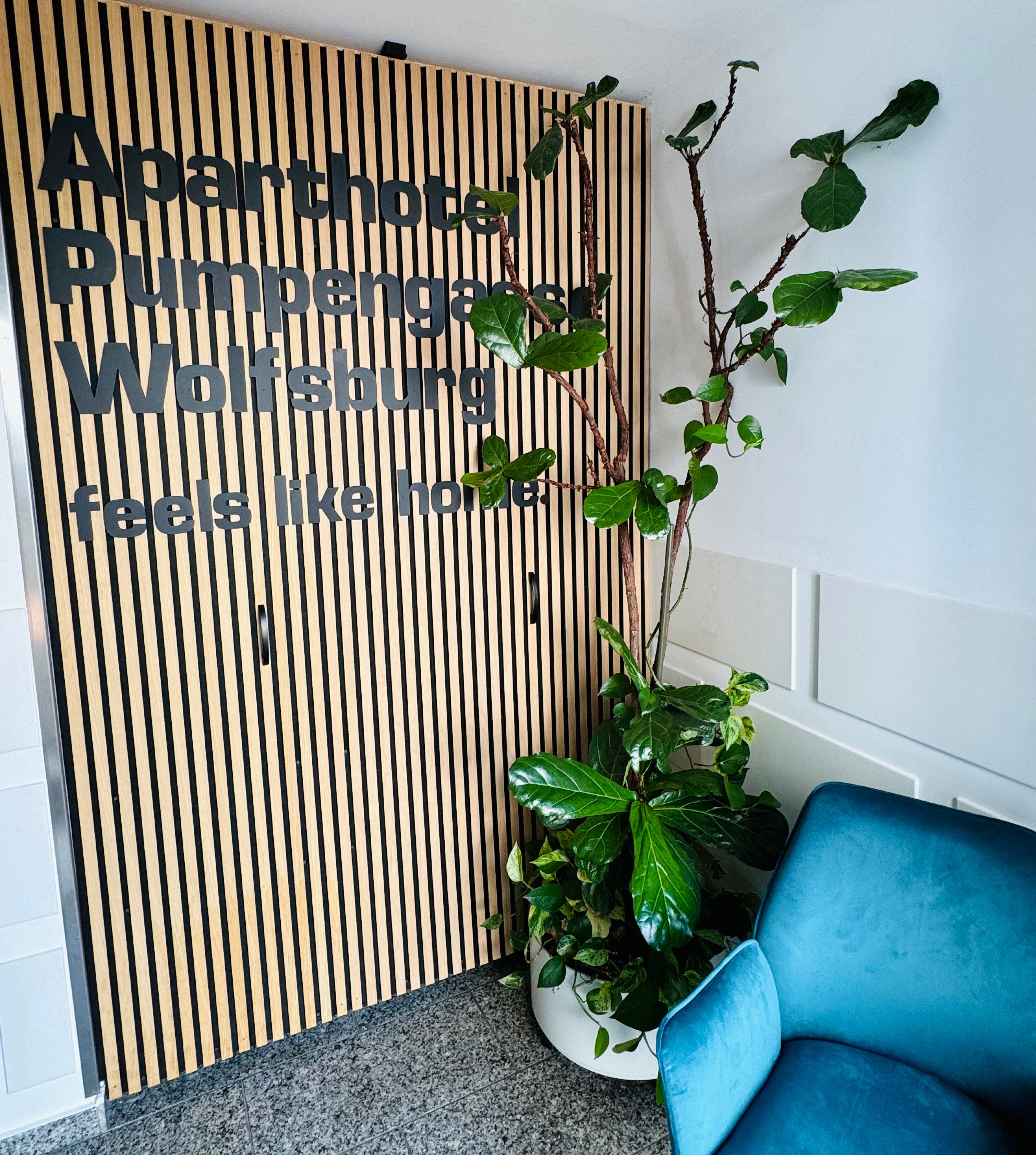  Cosy Light-Flooded Serviced Apartment In A Great Location  -  Cosy light-flooded Serviced Apartment in a great location  - Gallery -  6