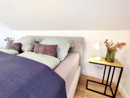 Bright and modern loft entree in Bad Salzuflen City