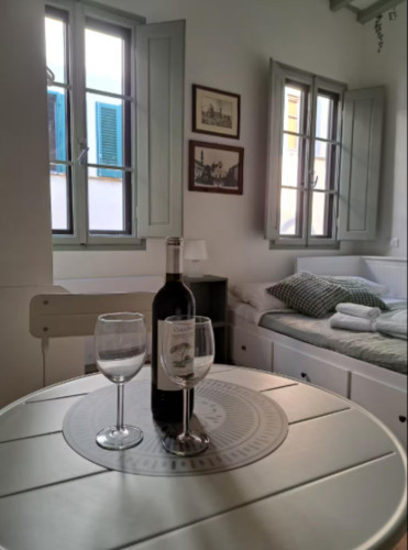 Charming Studio in Florence Santo Spirito