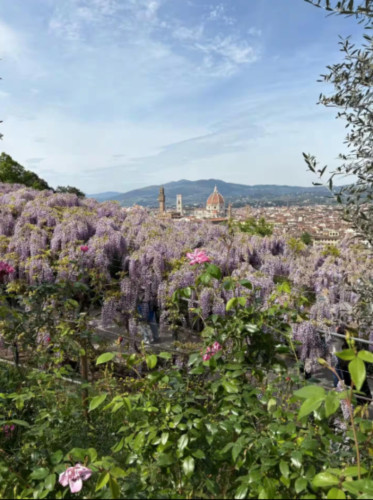 Charming Studio in Florence Santo Spirito