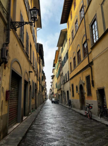 Charming Studio in Florence Santo Spirito