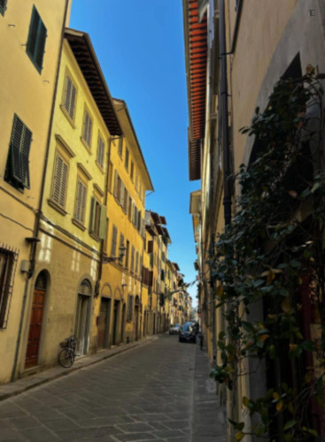 Modern Studio in Santo Spirito