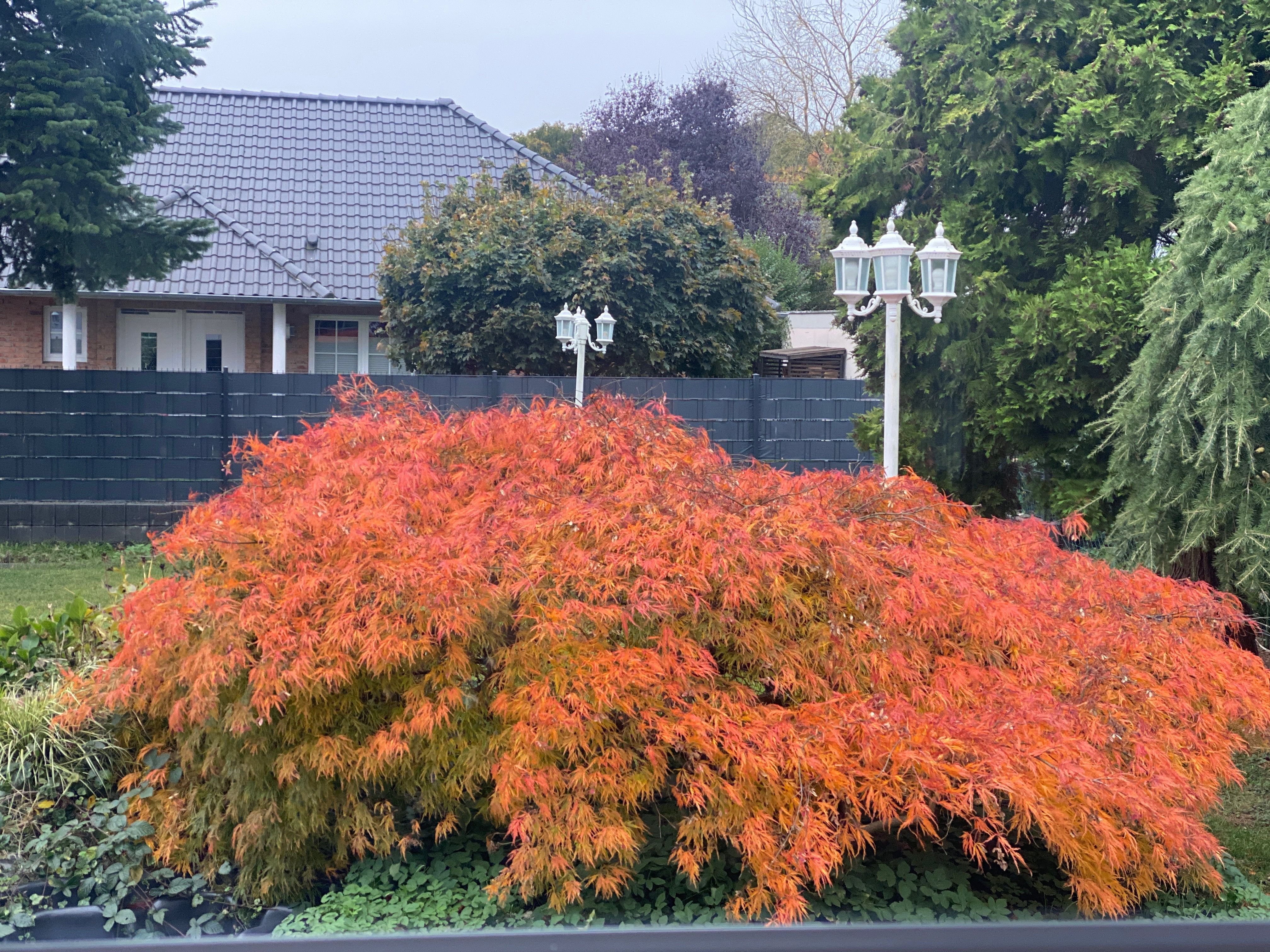  Charming Family Home With Garden And Balcony In A Quiet Residential Area  -  Charming Family Home with Garden and Balcony in a Quiet Residential Area  - Gallery -  19