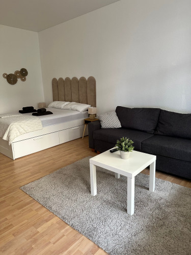Fantastic and great loft in Wiesbaden - Gallery - 2