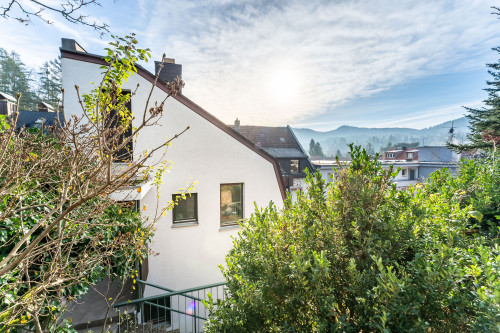 Perfect and lovely suite in Baden-Baden - Gallery - 13