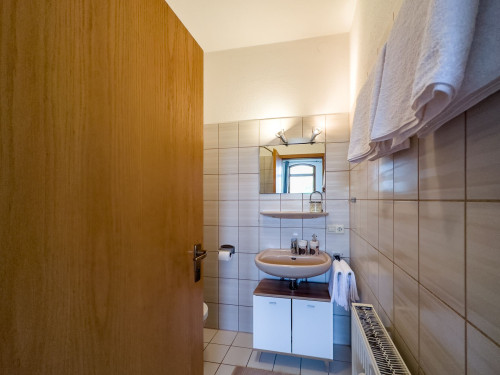 1-room business apartment. *Near Strasbourg & Europa Park* - Gallery - 11