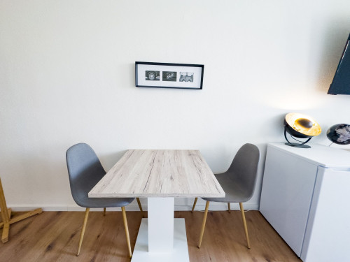 1-room business apartment. *Near Strasbourg & Europa Park* - Gallery - 8