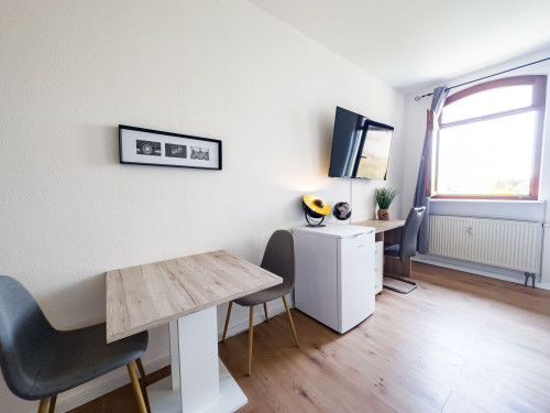 1-room business apartment. *Near Strasbourg & Europa Park* - Gallery - 9