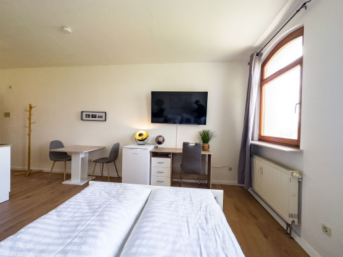 1-room business apartment. *Near Strasbourg & Europa Park*