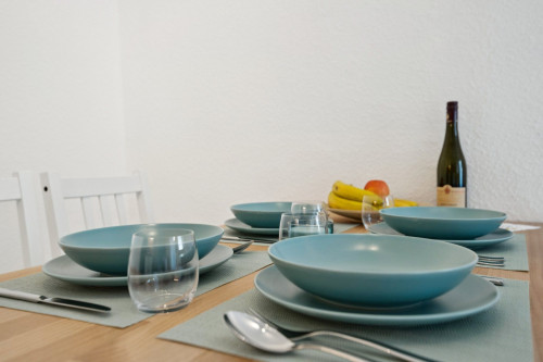 peaceful heaven for humans and dogs with terrace and full equiqment