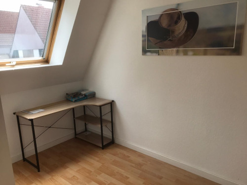 Charming 3 room apartment in Lemgo