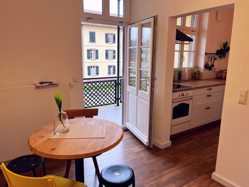 Amazing apartment in Offenburg - Gallery - 6