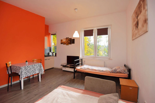 Apartment in Suhl