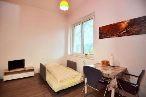 Apartment in Suhl