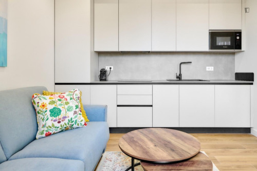 Elegant 1-bedroom apartment in Gianicolense