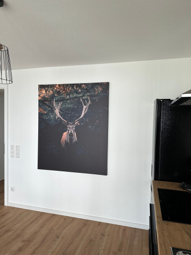 *AMAO-Indigo/62qm/KingSizeBed/Terrace/Parking/Lift - Gallery - 19