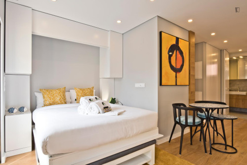 Welcoming studio in Lapa C101