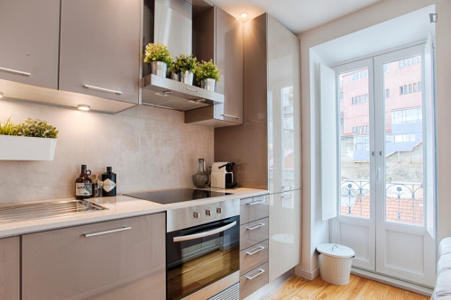 Beautiful 1-bedroom flat in Intendente