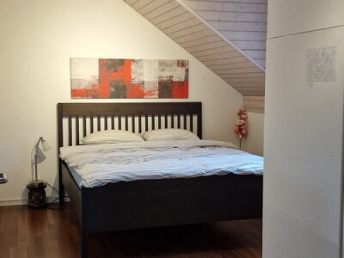 HARMONY HOMESTAY - Gallery - 5