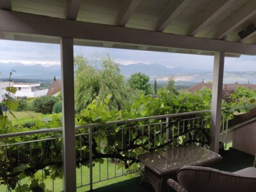 HARMONY HOMESTAY