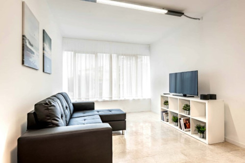 Vicolo Michelangelo Buonarroti - 144A