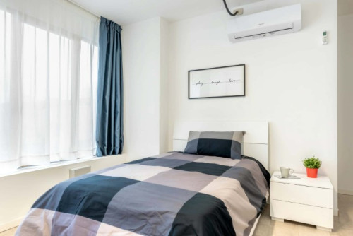 Vicolo Michelangelo Buonarroti - 144A