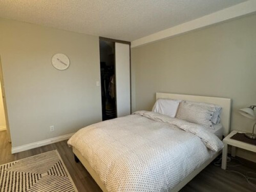 Large Bedroom