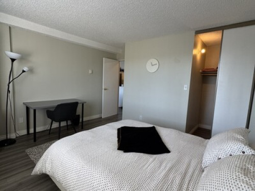 Large Bedroom - Gallery - 10