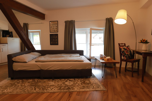 Gorgeous & fantastic suite in Kehl - Gallery - 18