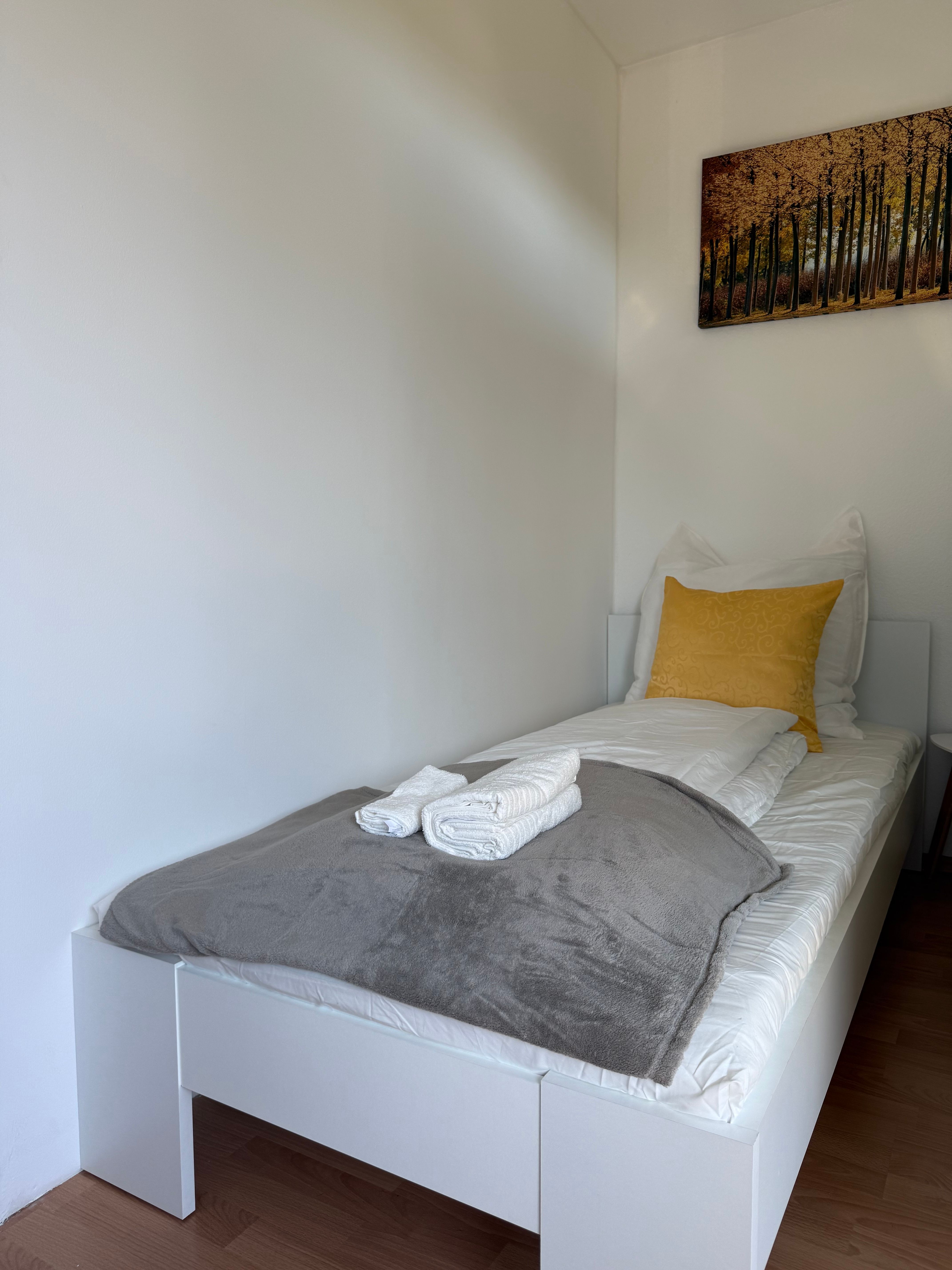 Nice Apartment Near Frankfurt Am Main. - Nice apartment near Frankfurt am Main. - Gallery - 17