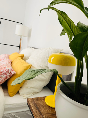 Modern flat in Düsseldorf - Gallery - 16