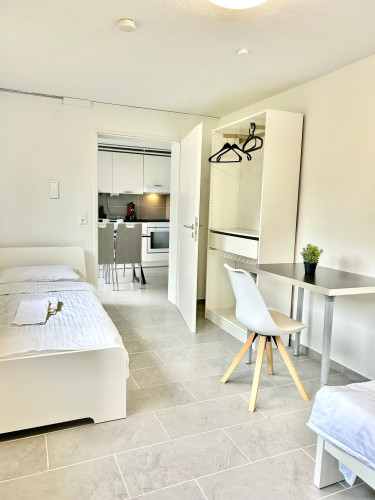 Furnished 2-Room Apartment in Lörrach-Stetten | 5 Min to Basel | from 6 months  - Gallery -  5