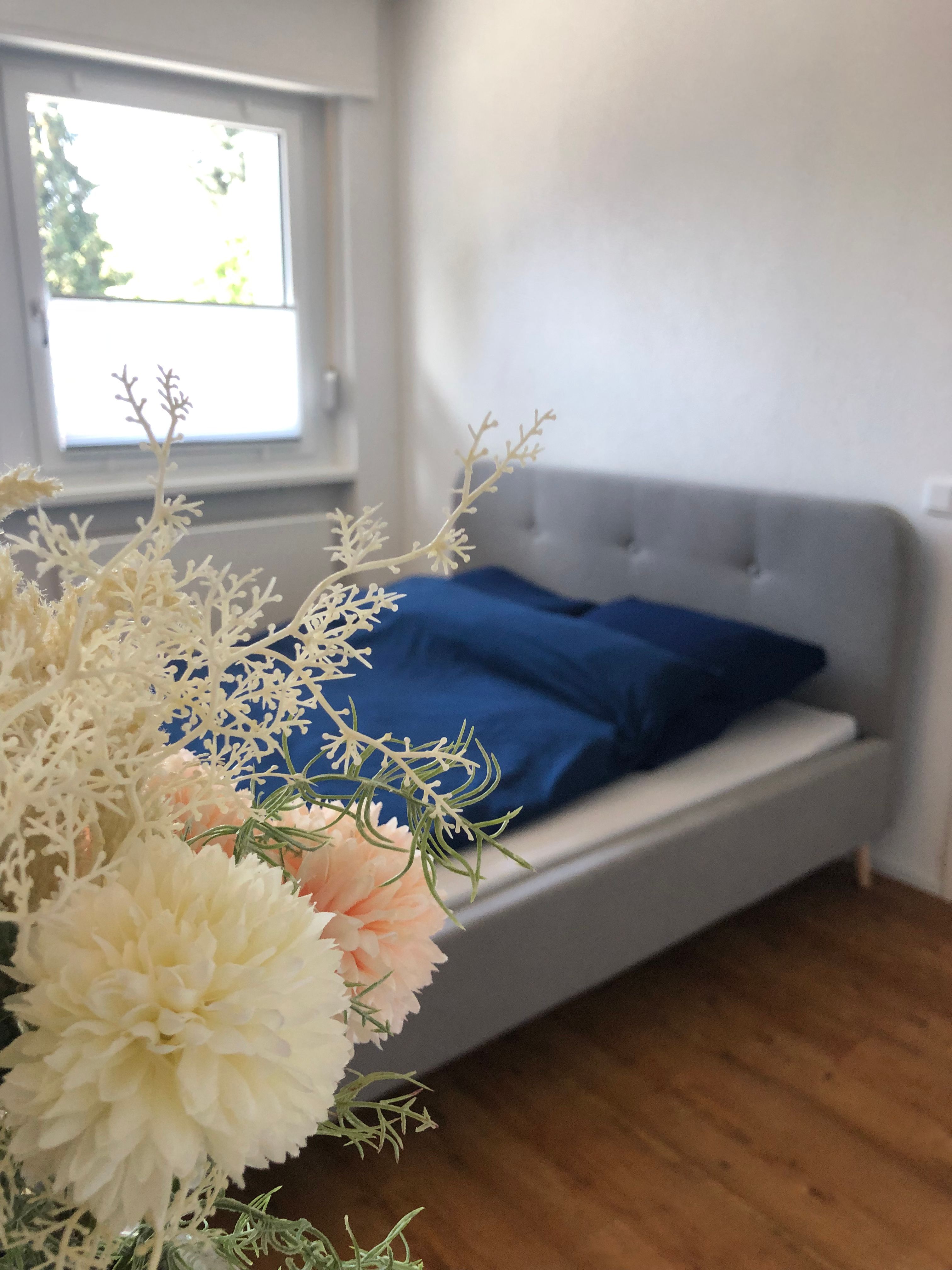 Helle Und Moderne 2–Zimmer–Wohnung In Der Nähe Von Speyer (Römerberg) - Helle und moderne 2–Zimmer–Wohnung in der Nähe von Speyer (Römerberg) - Gallery - 13