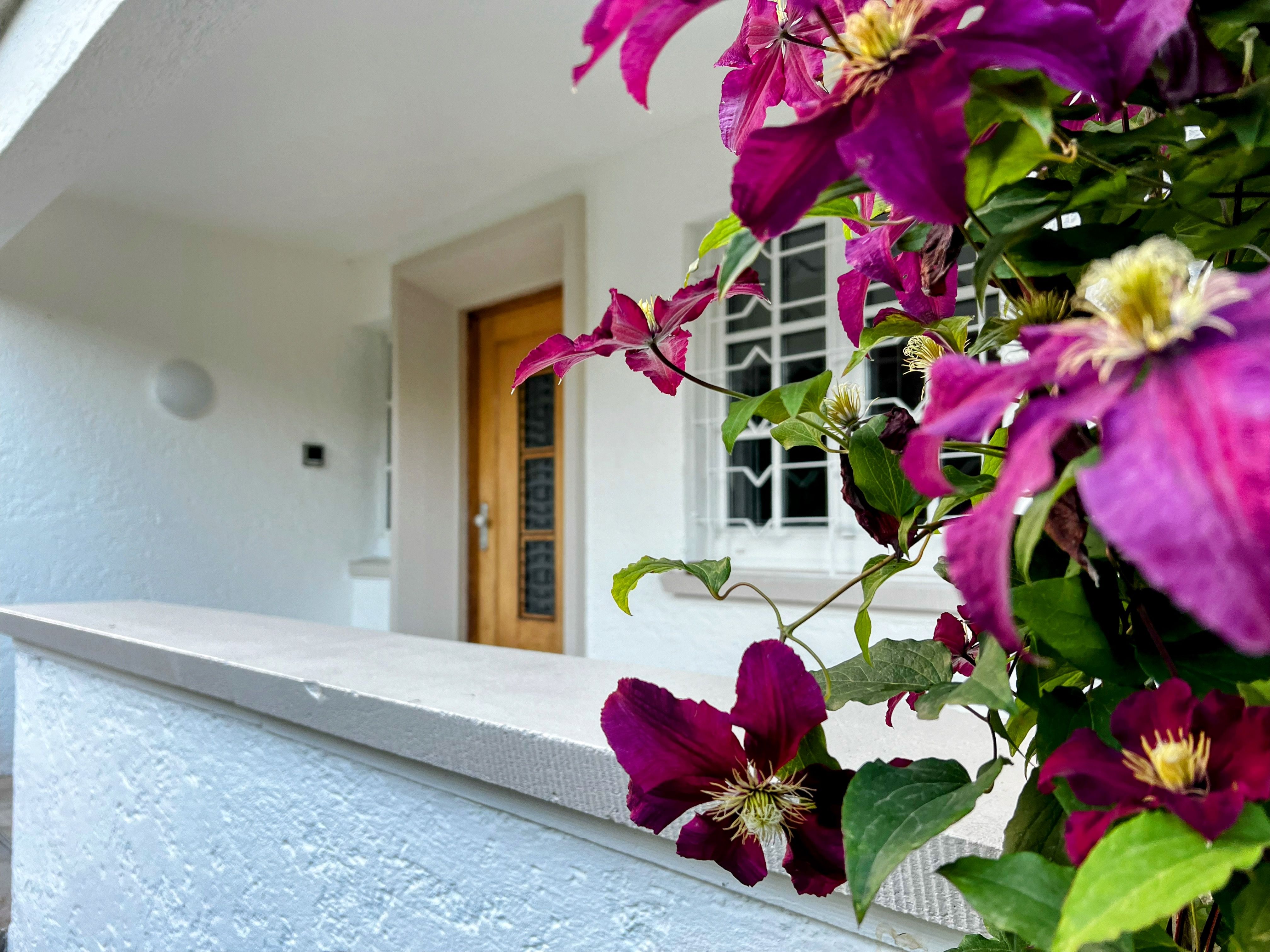  Cosy Apartment In A Manufacturer’s Villa  -  Cosy Apartment in a manufacturer’s villa  - Gallery -  25