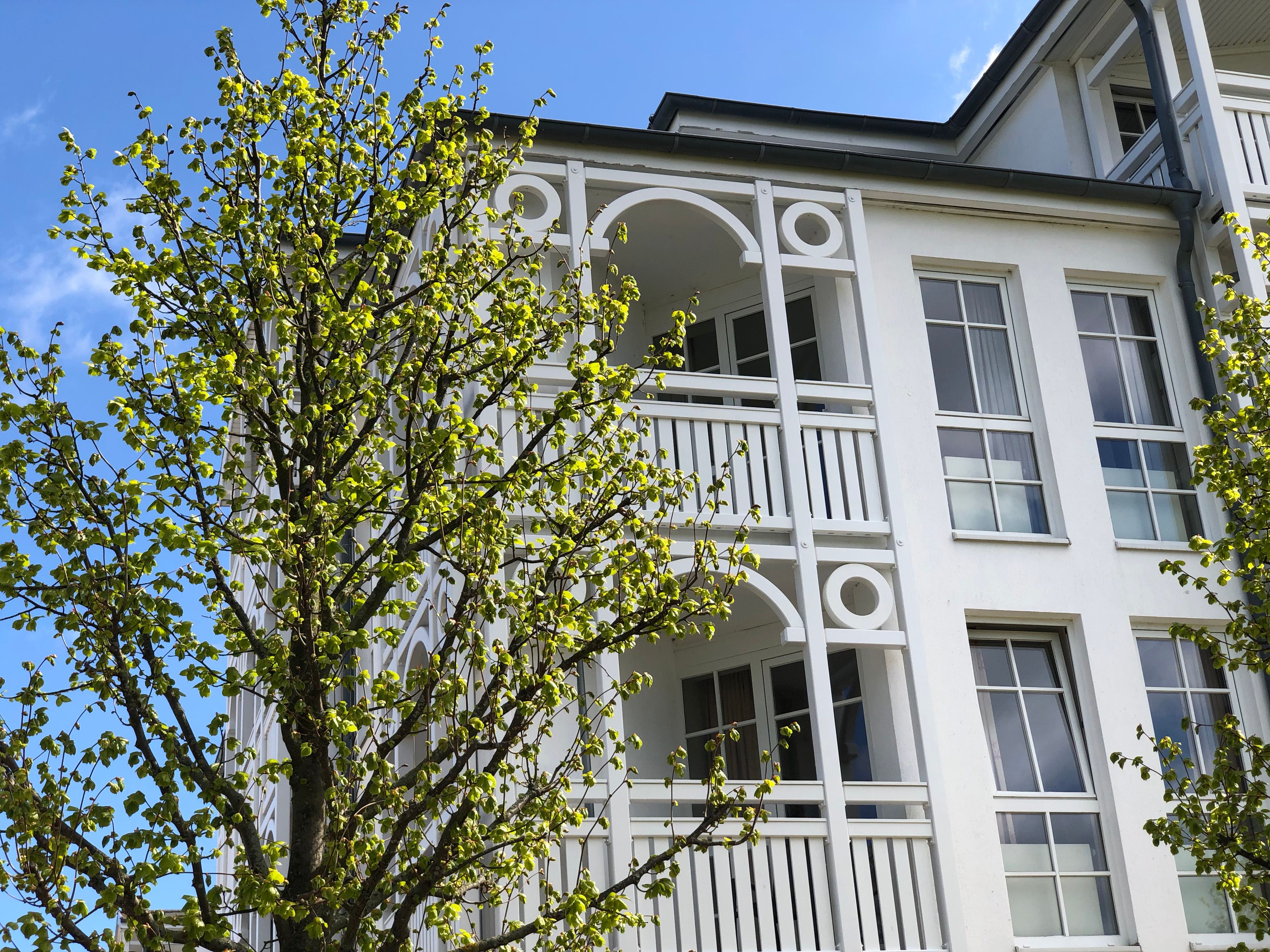  Fully Furnished 3 Room Apartment In Sellin  -  Fully furnished 3 room apartment in Sellin  - Gallery -  3