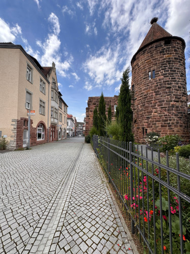 AMAO-Mantis, Marktstraße 47 77933 Lahr - Gallery - 15