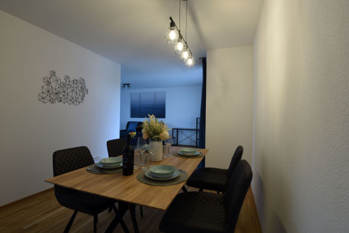 Perfect & bright studio located in Markgröningen (Markgröningen) - Gallery - 10