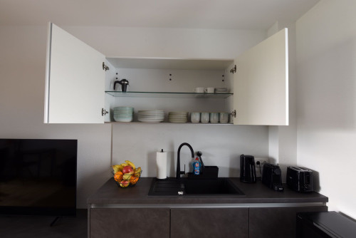 Perfect & bright studio located in Markgröningen (Markgröningen)