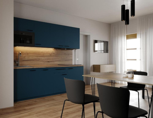 The spacious apartment with separate bedroom in Singen (Hohentwiel)