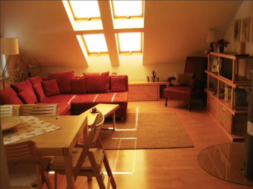 Beautiful 2-room apartment with chimney  - Gallery -  5