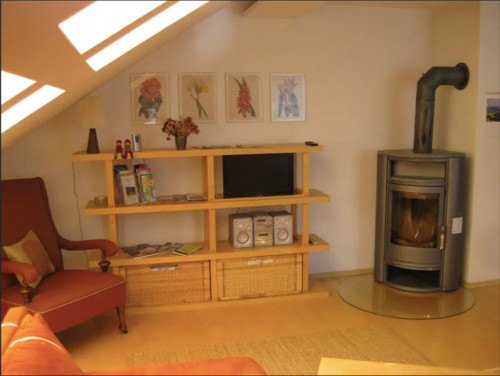 Beautiful 2-room apartment with chimney