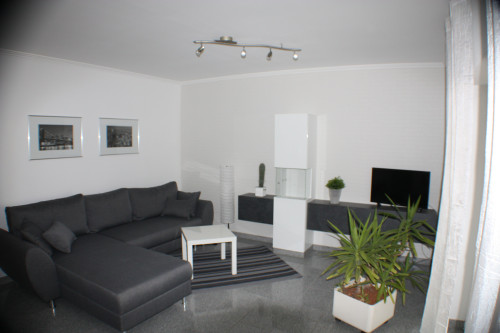 Quiet, perfect studio (Elsdorf) - Gallery - 16