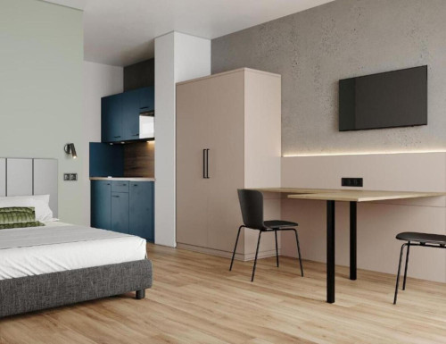 The cozy studio apartment with balcony in Singen, (Hohentwiel)