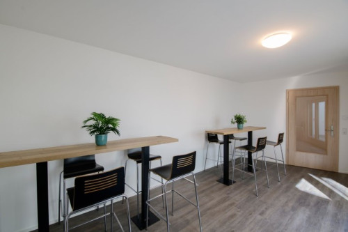 Wonderful & great flat in Saarbrücken - Gallery - 9