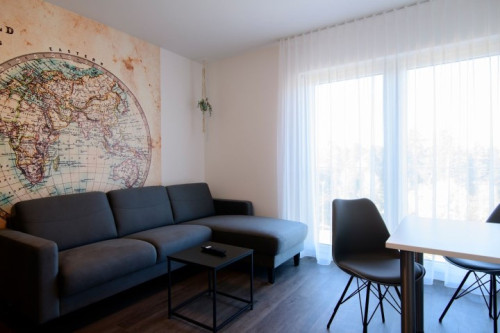 Wonderful & great flat in Saarbrücken - Gallery - 19
